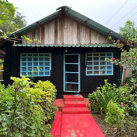 Puerto Nariño Flor De La Selva 아파트 외부 사진