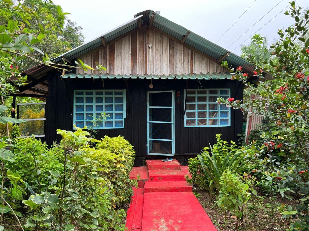 Puerto Nariño Flor De La Selva 아파트 외부 사진