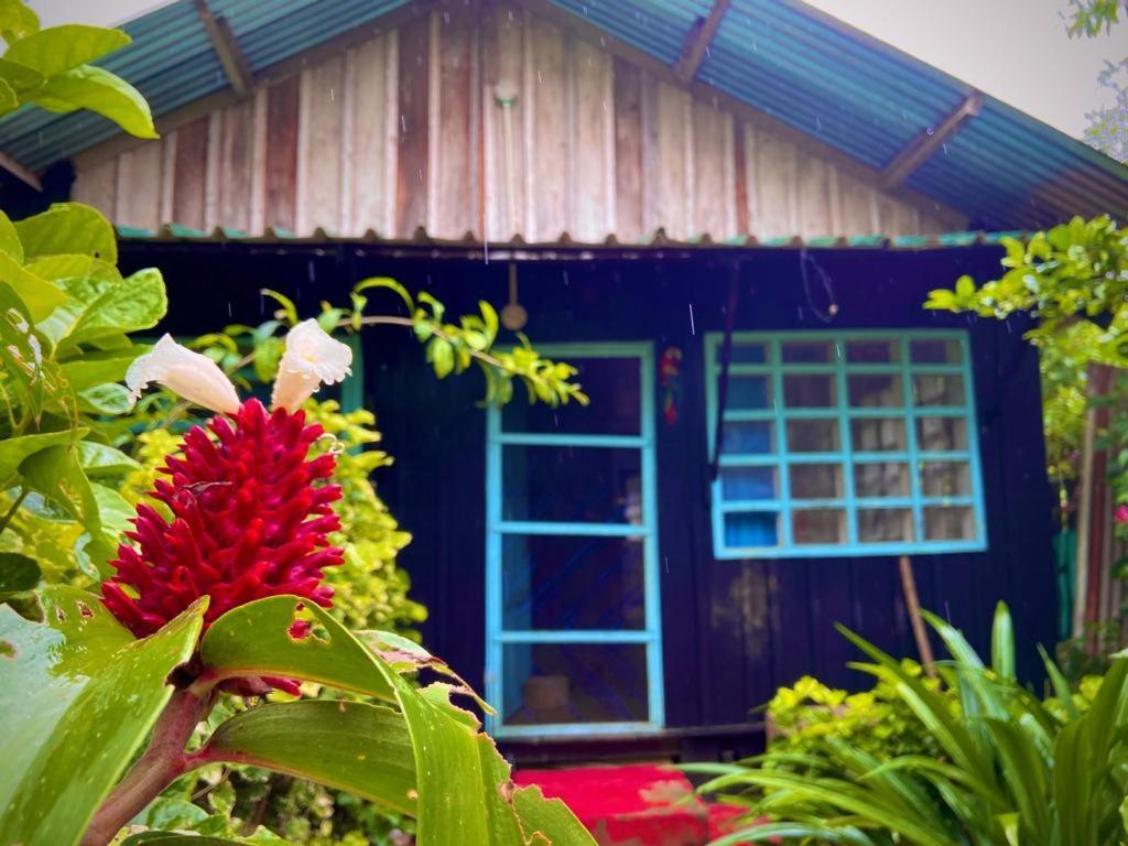 Puerto Nariño Flor De La Selva 아파트 외부 사진